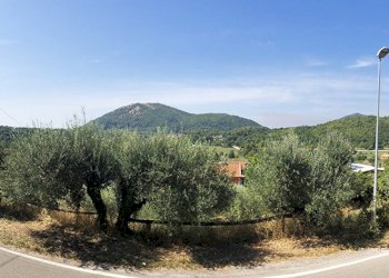 Hotel - Accommodation facility Via Villa, snc, hamlet Villa, Liberi - photo 4