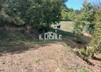 16badiaabovino - Independent house Vicchio - photo 16