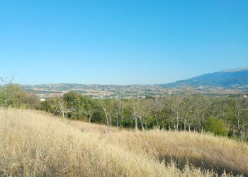 viste - Villa Rosciano - foto 16