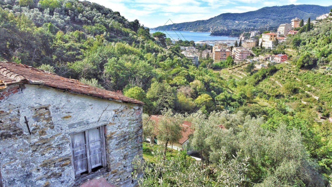 rid_1 (13).jpg - Rustico Via Carcassoni 9, Rapallo - foto 1