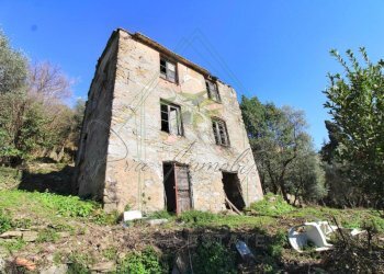 IMG_4140 (Copy) - Copia.jpg - Rustico Via Carcassoni 9, Rapallo - foto 5