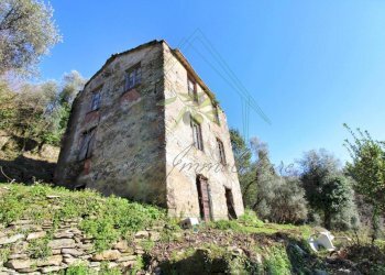 IMG_4147 (Copy) - Copia.jpg - Rustico Via Carcassoni 9, Rapallo - foto 6