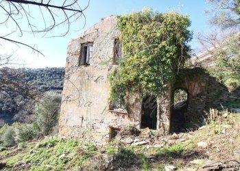 IMG_4156 (Copy) - Copia.jpg - Rustico Via Carcassoni 9, Rapallo - foto 3