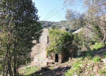 IMG_4165 (Copy) - Copia.jpg - Rustico Via Carcassoni 9, Rapallo - foto 18