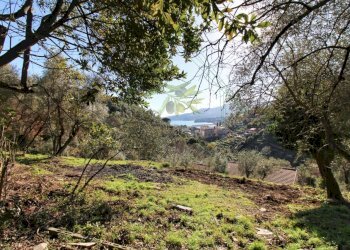 IMG_4152 (Copy).jpg - Rustico Via Carcassoni 9, Rapallo - foto 21