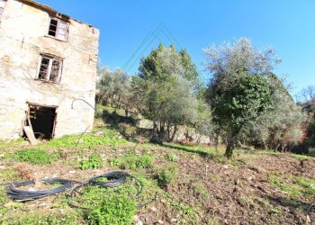 IMG_4138 (Copy) - Copia.jpg - Rustico Via Carcassoni 9, Rapallo - foto 14