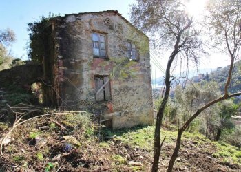 IMG_4158 (Copy) - Copia.jpg - Rustico Via Carcassoni 9, Rapallo - foto 4