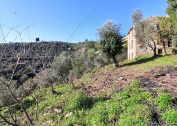 IMG_4134 (Copy) - Copia.jpg - Rustico Via Carcassoni 9, Rapallo - foto 13