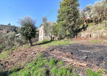 IMG_4135 (Copy).jpg - Rustico Via Carcassoni 9, Rapallo - foto 9