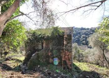 IMG_4160 (Copy) - Copia.jpg - Rustico Via Carcassoni 9, Rapallo - foto 15