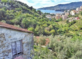 rid_1 (13).jpg - Rustico Via Carcassoni 9, Rapallo - foto 1