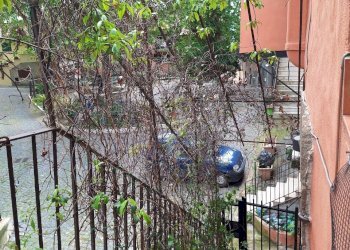 20240424_121647.jpg - Appartamento Piazza delle carretta 27, Morlupo - foto 12