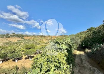 Casale Contrada Casale, Alcamo - foto 9