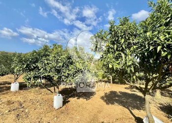 Casale Contrada Casale, Alcamo - foto 15