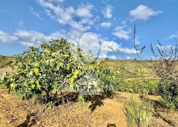 Casale Contrada Casale, Alcamo - foto 16