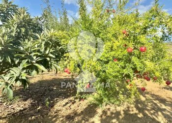 Casale Contrada Casale, Alcamo - foto 18