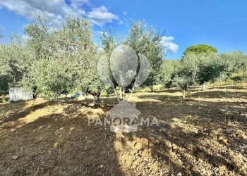 Casale Contrada Casale, Alcamo - foto 19