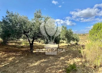 Casale Contrada Casale, Alcamo - foto 23