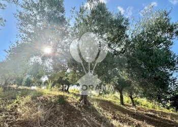 Casale Contrada Casale, Alcamo - foto 24