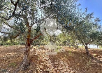 Casale Contrada Casale, Alcamo - foto 25