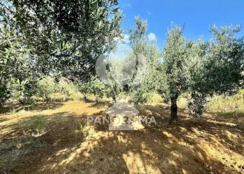 Casale Contrada Casale, Alcamo - foto 27