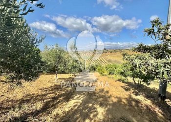 Casale Contrada Casale, Alcamo - foto 28