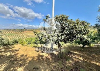 Casale Contrada Casale, Alcamo - foto 29