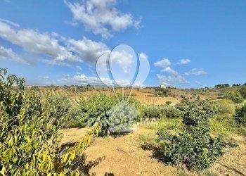 Casale Contrada Casale, Alcamo - foto 31