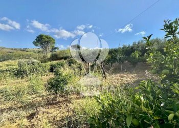 Casale Contrada Casale, Alcamo - foto 32