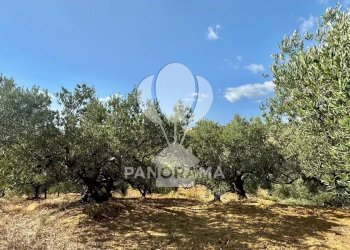 Casale Contrada Casale, Alcamo - foto 33