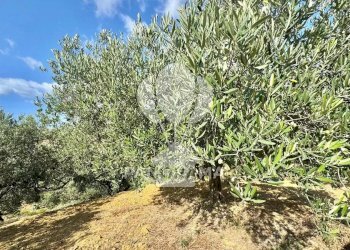 Casale Contrada Casale, Alcamo - foto 34