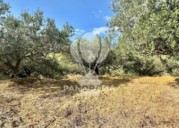 Casale Contrada Casale, Alcamo - foto 38