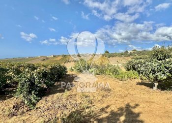 Casale Contrada Casale, Alcamo - foto 39