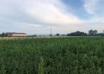 Rustico Modena - foto 22