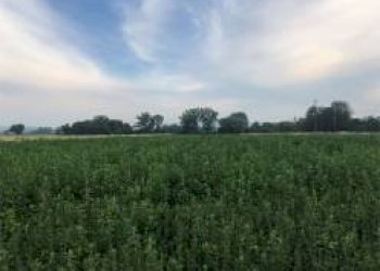 Rustico Modena - foto 24