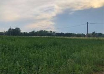 Rustico Modena - foto 26