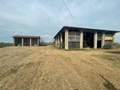 Apartment Modena - photo 3