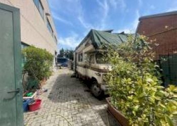 Capannone Modena - foto 6