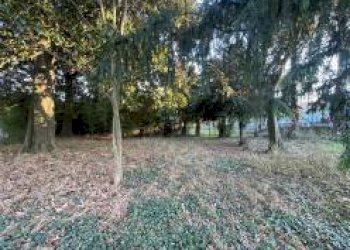 Rustic Modena - photo 17