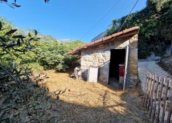 Casa semi indipendente Frazione san antonio, Ventimiglia - foto 17