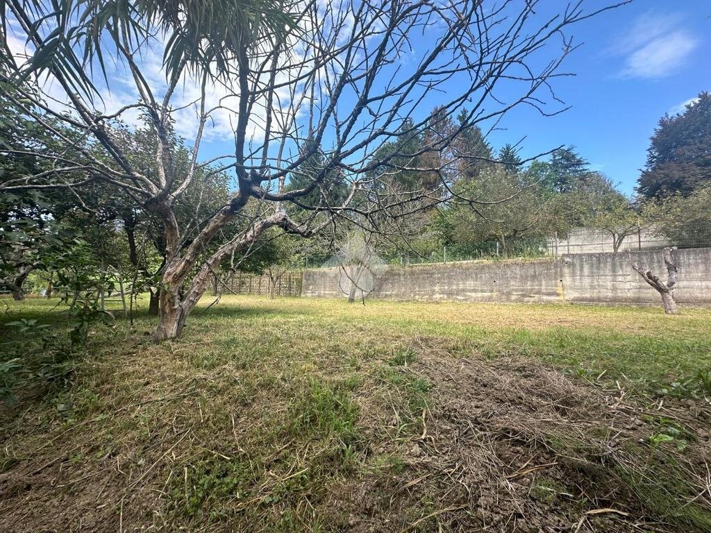 Terreno agricolo Strada Comunale Val S. Martino, Torino - foto 1