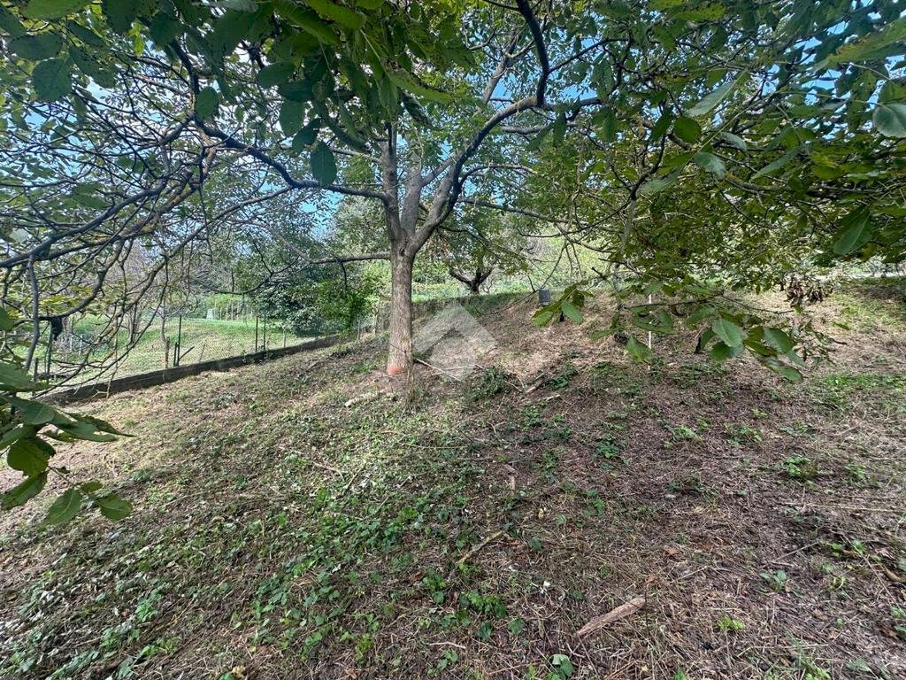 Terreno agricolo Strada Comunale Val S. Martino, Torino - foto 2