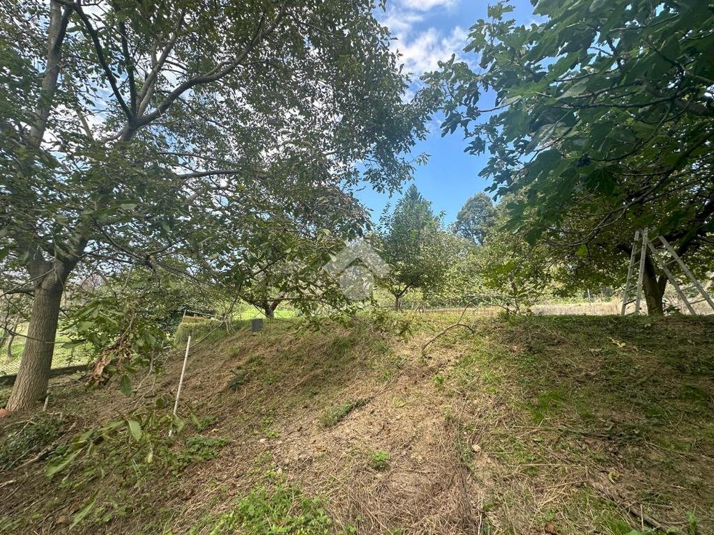 Terreno agricolo Strada Comunale Val S. Martino, Torino - foto 3