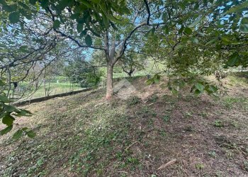 Terreno agricolo Strada Comunale Val S. Martino, Torino - foto 2