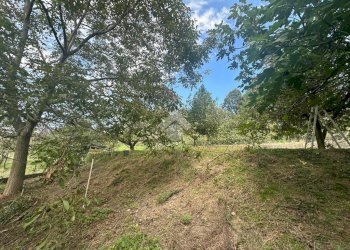 Terreno agricolo Strada Comunale Val S. Martino, Torino - foto 3