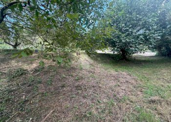 Terreno agricolo Strada Comunale Val S. Martino, Torino - foto 4