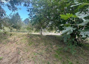 Terreno agricolo Strada Comunale Val S. Martino, Torino - foto 5