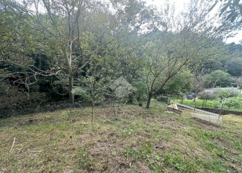 Terreno agricolo Strada Comunale Val S. Martino, Torino - foto 6