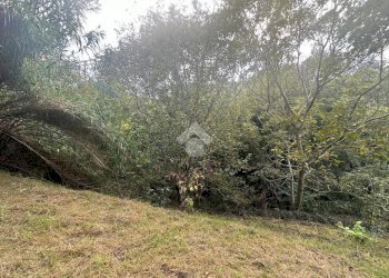 Terreno agricolo Strada Comunale Val S. Martino, Torino - foto 7