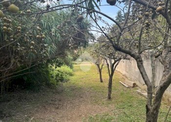 Terreno agricolo Strada Comunale Val S. Martino, Torino - foto 9